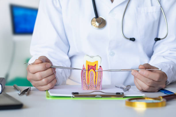 Best Walk-In Emergency Dentist in Oakboro, NC